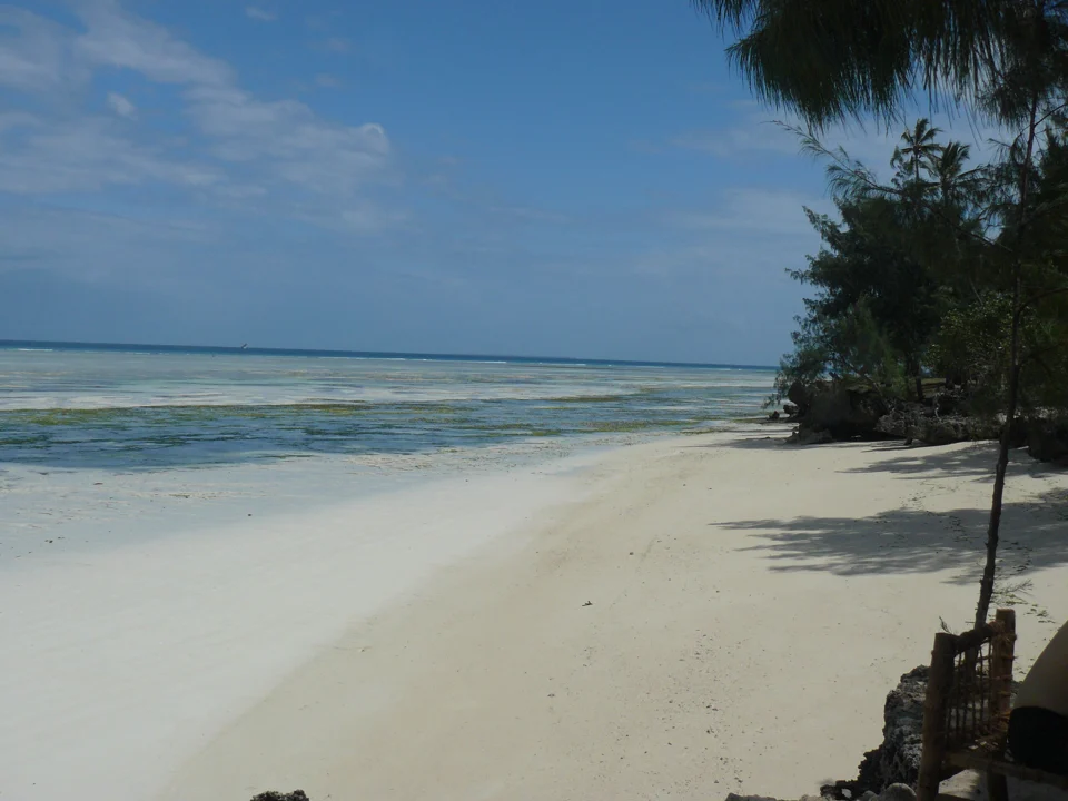 10-Day Zanzibar Experience