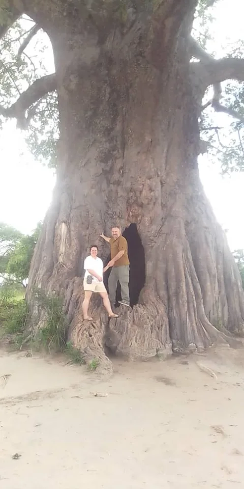 Visitors beside a baobab tree