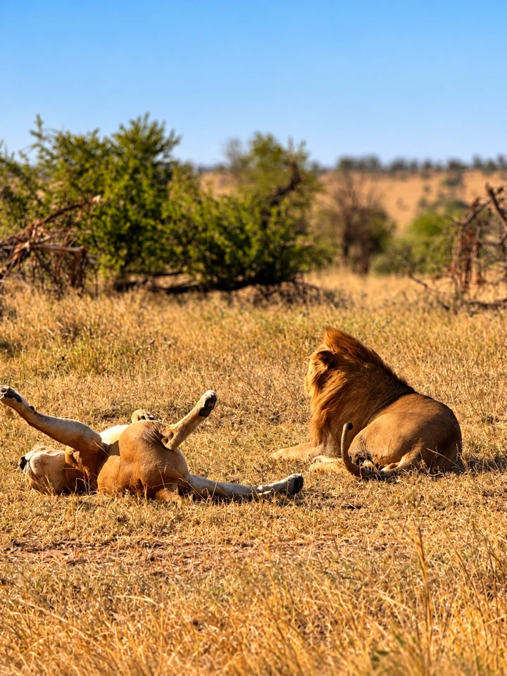 10-Day Safari & Zanzibar Retreat