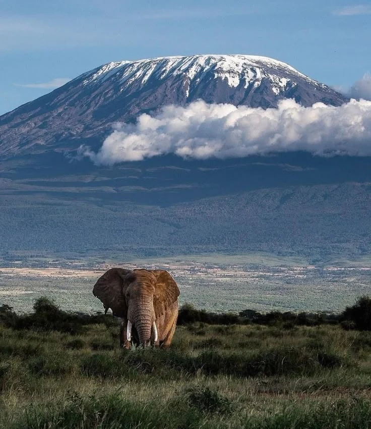 6-Day Masai Mara, Naivasha & Amboseli Safari