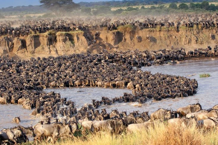 3-Day Masai Mara Safari